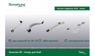 Рычаги подвески BORSEHUNG - control arms BORSEHUNG