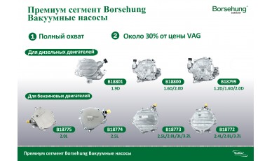 Вакуумные насосы BORSEHUNG - vacuum pump BORSEHUNG