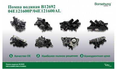 Помпа водяная BORSEHUNG - water pump BORSEHUNG